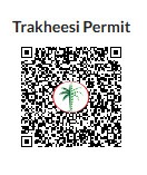 Bami T1B 43K QR CODE